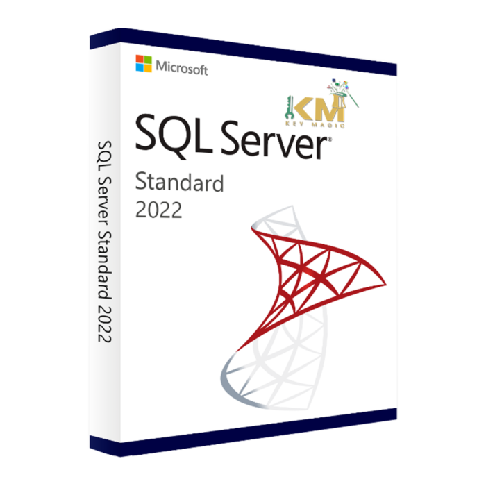 MS SQL Server 2022